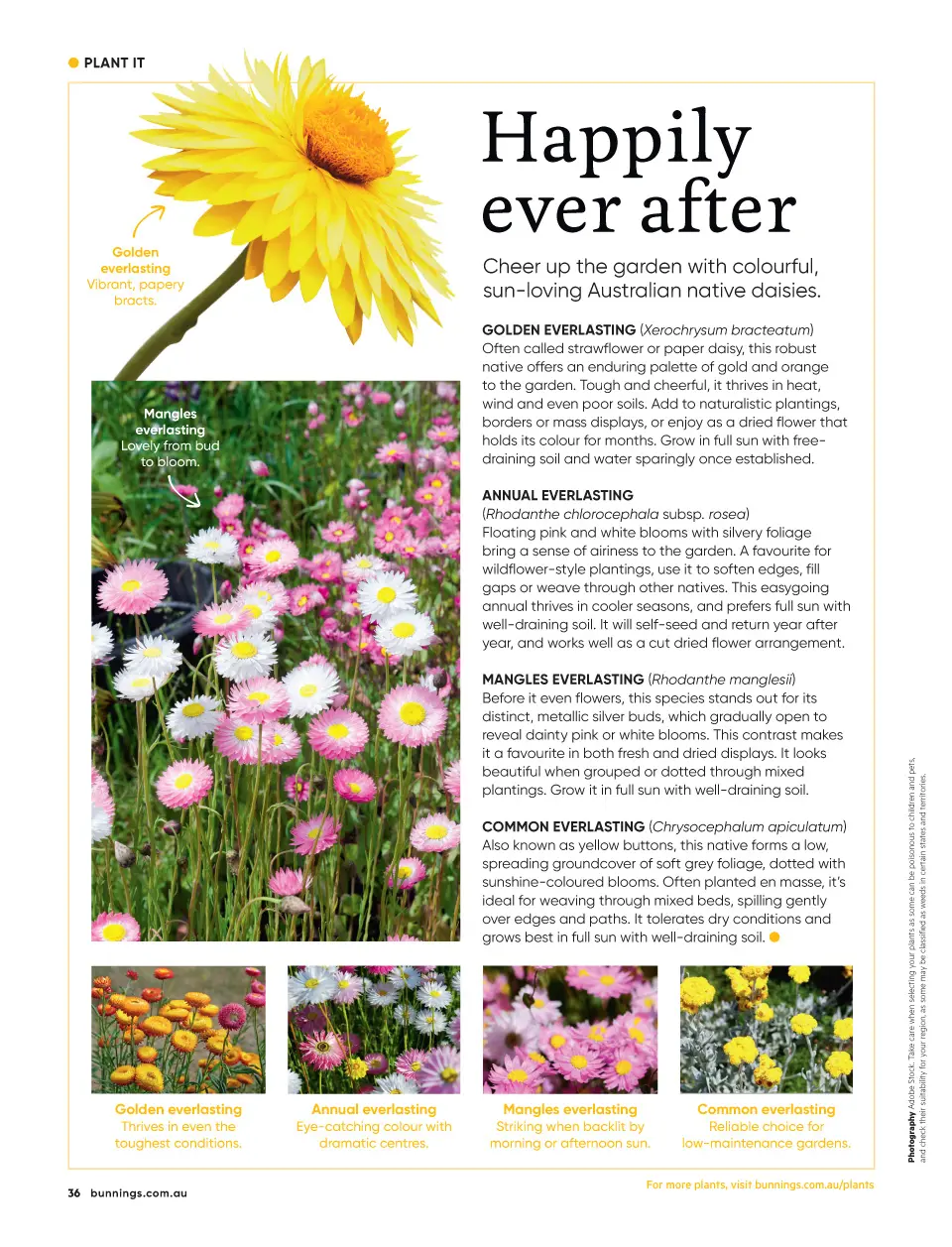 Bunnings Bunnings Magazine August 2026 — page 36