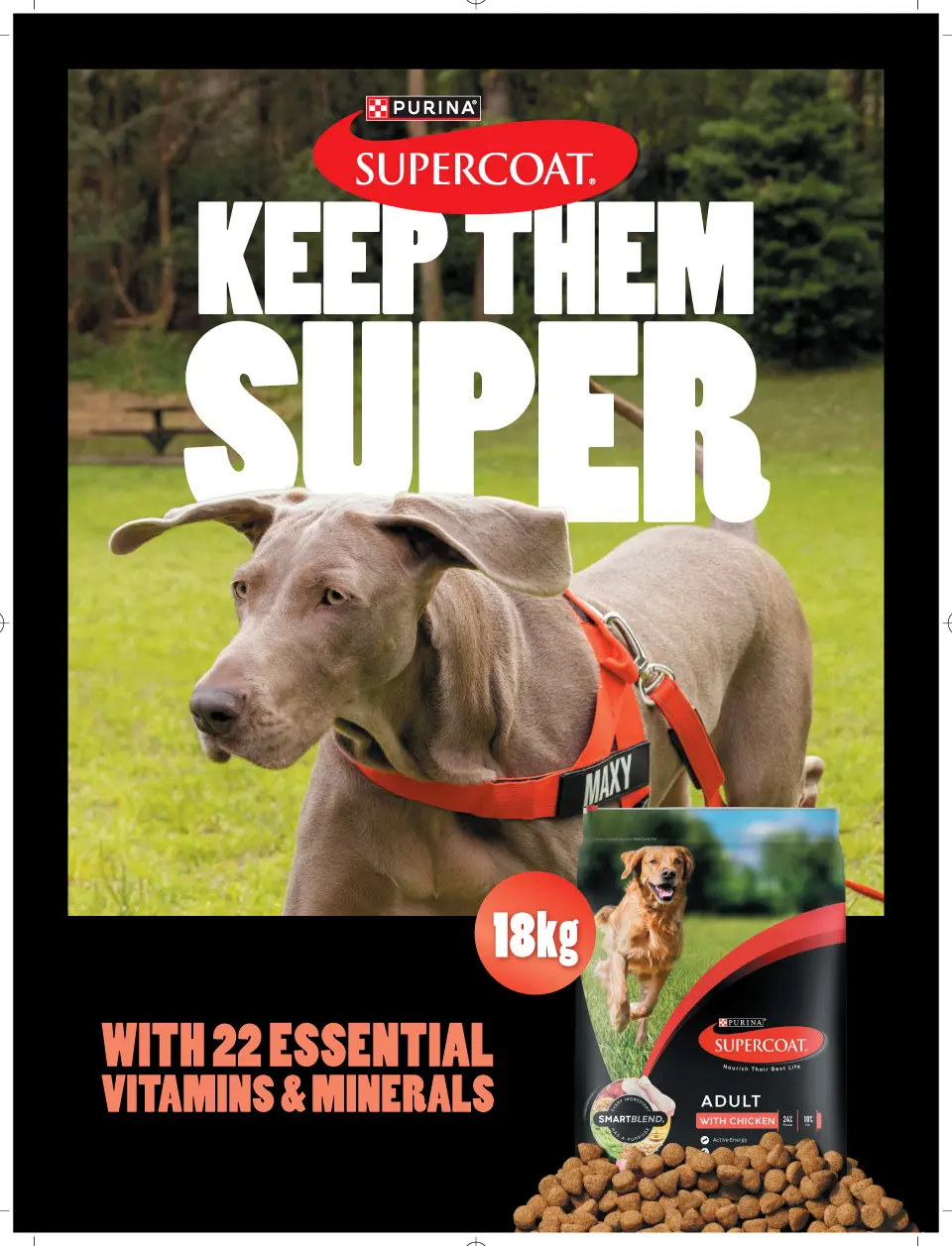Bunnings Bunnings Magazine August 2026 — page 66