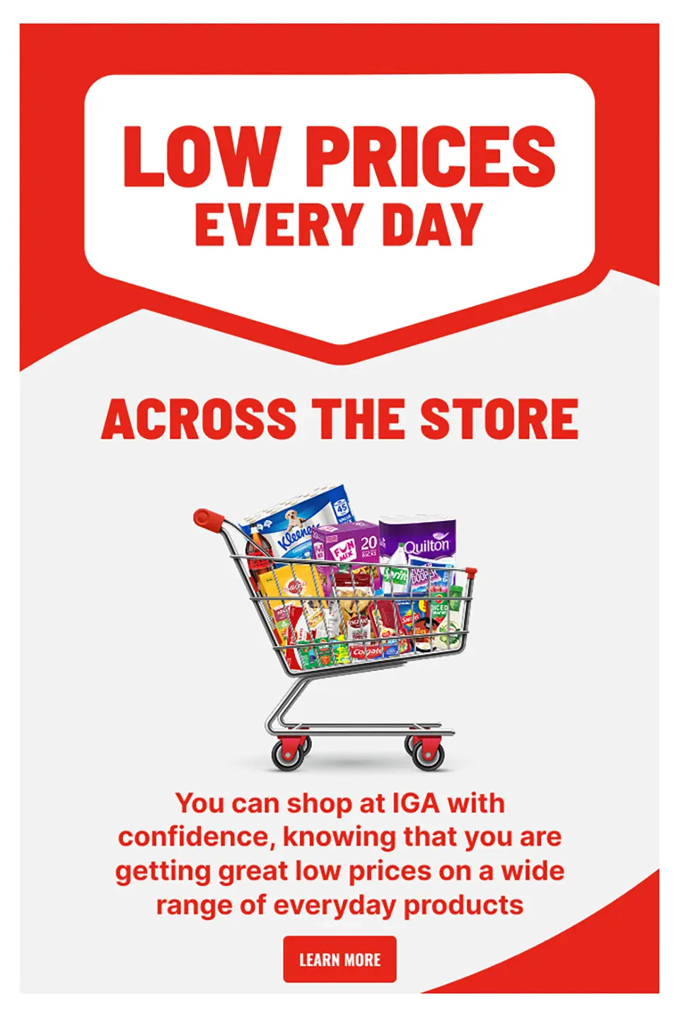 IGA IGA NSW Catalogue — page 14